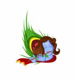 WOLPEP Multicolor Vinyl Lord Krishna Wall Sticker