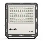 Fybros Warm White Elise Waterproof Outdoor Flood Led Flash Lights For Street And Garden 30 Watts