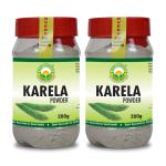 Basic Ayurveda Karela Churna Powder 200 g Pack of 2