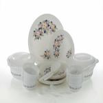 SUGAM DINNER SET ( PRINTED)