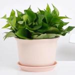 LISHONN Plastic Round Flower Pots with Tray for Home Planters Terrace & Garden Pink for Home Indoor & Outdoor Gardening Plants Pack of 5