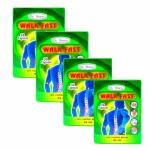 HERBSHD Ayurvedic WALK FAST 30 Capsule for joint pain (pack of 4)