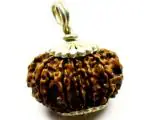 Feel Touch Mart Eleven Face Natural Gayarha Mukhi Nepali 11 Mukhi Rudraksha Brown Bead Best Nepal Rudraksha Pendant Precious Bead for Wear Pooja by Lab Certified