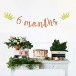 Festiko Real Glitter 6 Months Banner Half Birthday Party Decoration 1, 2 Birthday Banner For 6 Months, Anniversary Decoration (6 Months, Gold)
