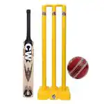 CW Smash Practice Cricket Kit Full Size Kashmir Willow Bat Plastic Wicket Stand Leather Ball