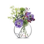 Craftfry Terrarium Glass Bubble Bowl, Fish Bowl, Rose Bowl - Glass Round Vase -(8 inch)