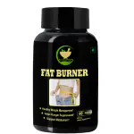 FIJ AYURVEDA Fat Burner Capsule for Weight Loss Supplement for Men & Women - 500mg 60 Capsules