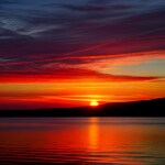 Love Creation 12x18 Size poster print for creative wall art- palm-tree-dreams-7026(Non Sticker)