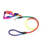 Sage Square Rainbow Colour Weave Nylon Pet Rope Dog Harness Training Walking Leash (Medium)