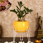 Justoriginals Small Dot Bowl Ceramic Flower PotColor:Yellow)