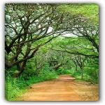 Art Factory Vastu Endless Path Painting Canvas Strecher Canvas 36 inch x 24 inch Painting (Without Frame)