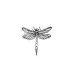 SIMPLY INKED Dragonfly Temporary Tattoo, Designer Tattoo for all (Dragonfly tattoo) Pack of 2