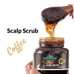 mCaffeine Coffee Hair Scalp Scrub - 250 gm | 99% Dandruff Reduction - Natural & Vegan | Scalp Scrub for Dandruff | Deeply Cleanses | Scalp Scrub for Hair