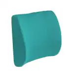 PUM PUM Orthopedic Lumbar Support Memory Foam Cushion - Designed for Back Pain Relief- Ideal Back Pillow for Computer/Office Chair ,Sky Blue, 13x13x4 Inch, (SbLC)
