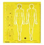 Traceease Female Human Figure Template Stencils Fashion Designer’s Drafting Tools, Female Human Figure Template