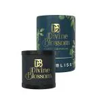 Divine Blossom Grace Gel Car Perfume | Bliss Fragrance Lasts upto 60 Days | Luxurious Leather Fabric | Easy-to-Use Design | Spill-Proof Air Freshener to Freshen 'up Your Car | 80 GM