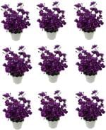 Green Plant indoor Purple Orchids Artificial Flower with Pot (7 inch, Pack of 9)