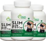 Prirupam SLIM FIT FAT LOSS AYURVEDA CAPSULES -60*3 (Pack of 3)