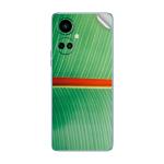 GADGETSWRAP Printed Vinyl Skin Sticker for Tecno Camon 19 Pro - tropical leaf 3