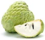 XOLDA Custard apple fruit (setaphal) Seed (22 per packet)