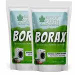 Bliss of Earth American Borax Detergent Powder, Multipurpose Cleaning & Stain Remover Kille2x113GM