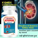 Zenius India Stonil Capsule | Ayurvedic Support for Kidney Health | Supports Kidney Detox & Wellness