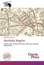 Coding With Coda Eric J. Gruber Paperback 84 Pages