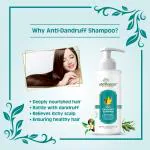 Earth Science Ayurveda Anti Dandruff Shampoo, Control Scalp Irritation & Treat Dandruff (200 ml) | Anti Dandruff Shampoo | | Shampoo |