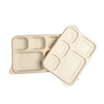 5 Compartment Disposable Plates with Lid Cover