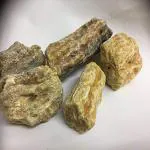 Xetomos Shorea Robusta Kama Ral Sal Tree Resin Damar Batu Sakhu Borsal Indian Dammer Raal Jall Sagua 200g