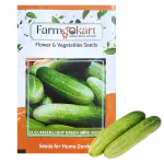 Farmgokart | 5 Gms CUCUMBER LIGHT GREEN LONG SEEDS |for Home Gardening , Farming , Hydroponics and Poly Houses|