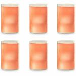 Borosil Vision Galaxy Glasses (Pack of 6, 295ml)