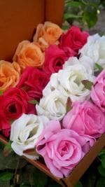 ABHAY FLOWER & FASHION Multicolor Fabric Plastic Rose Artificial Flower - 3 Inch (Pack Of 16)