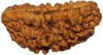 Shivoham Wooden 1 Mukhi Rudraksha
