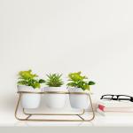 ecofynd 4 inches Bella White Metal Planter Pot with Gold Stand, Indoor Outdoor Home Decor Item