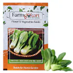 FARMGOKART |10 Gms PAK CHOY/BOK CHOY Seeds| for Home Gardening, Farming, Hydroponics & Poly Houses|