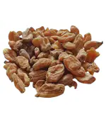 Nutrixia Salam Mishri / Salab Misri / Salap Mishri / Salam Mishri / Orchis Latifolia 50 Gms