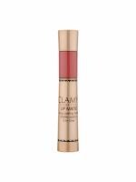 Clamy Chestnut Brown Long Lasting Waterproof 2 In 1 Matte Lipstick And Lipgloss - 10 g
