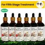 Ancient Herbs of India Yellow bee nest oil for Alopecia Treatment Tataiya ka chatta oil Fifth Stage Treatment of Alopecia Kit