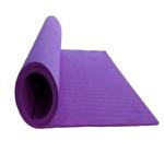 SHREE JEE SALES & SERVICES Mat for Women & Men Washable Anti Skid Non Toxic Gym & Yoga Mat Classic Pro Exercise Mat for Home Workout Pilates Floor Exercises Meditation Thickness 6 mm)-b9