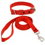 SUPER CHAIN Dog Neck Collar Belts and Leash Set , Waterproof, Nylon Dog Collar & Leash (Medium, Red)