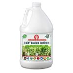 Erwon Lucky Bamboo Booster, Premium Essential Powerful Liquid Fertilizer for the Best Growth of Lucky Bamboo Plants with Growth Nutrients and Charged Micro-Organism (500 ml)