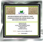 Mgbn The Path For The Healthier Life With Beauty Nayuruvi Indian Nettle Prickly Chaff Flower Achyranthes Aspera Seeds, 2Gm (400 Seeds)