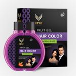 Reyo Fruit Gel Hair Color(120ml) Pack of 2 | No Ammonia | Natural Black