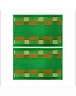 Status Luxury Design Door Mats in Kitchen Home Bedside Living Office Restaurant Entrance Area Anti Slip Floor Backing Washable (18x28 inch) or (45x 70cm) Combo (Green + Green)