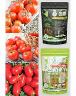 Green World Organic Tomato Heirloom Roma, Heriloom Money Ma Ker and Heirloom Marglobe 30 Seeds with Organic Manure 250 g