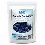 Wesfra Bio Potash Bacteria Growth Promoter For All Plants-1Kg Powder