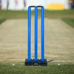 Vifitkit Cricket Stumps with Stand Cricket Kit Plastic Wickets for Cricket Standard Wickets for Cricket Ground, Match, Tournament Stump with Stand & Bails