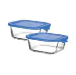 Treo by Milton Lexie Borosilicate Square Container with Lid Set of 2, 320 ml, Blue