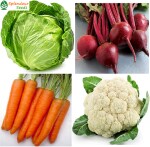 Splendour Seeds Cabbage,Beetroot,Carrot,Cauliflower four pack Vegetable seeds